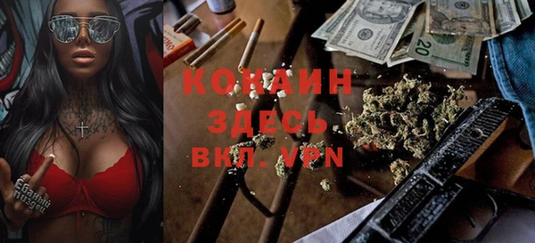 молекула духа Бутурлиновка