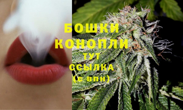 стафф Покровск