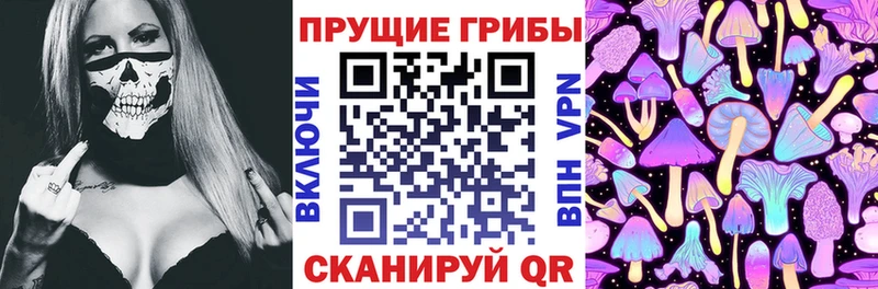 купить  цена  Артёмовский  Галлюциногенные грибы Cubensis 